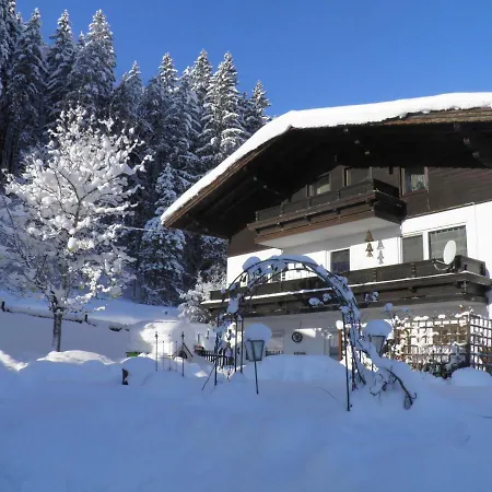 Haus Silesia Ferienhaus Abtenau
